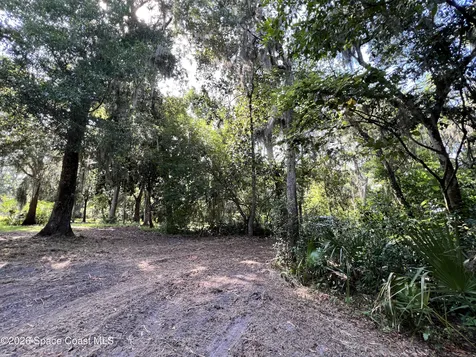 0 Carter Road Mims FL 32754