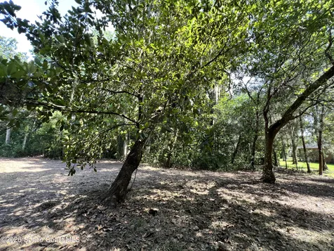 0 Carter Road Mims FL 32754