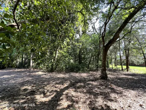 0 Carter Road Mims FL 32754