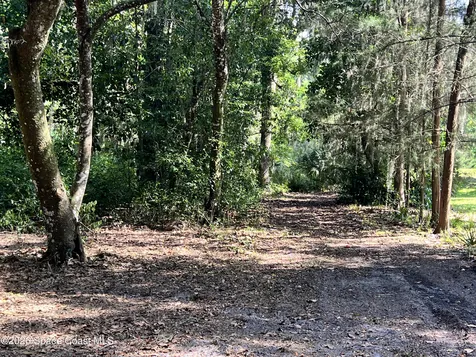 0 Carter Road Mims FL 32754