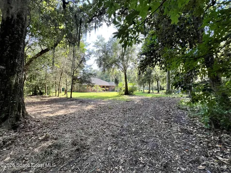 0 Carter Road Mims FL 32754