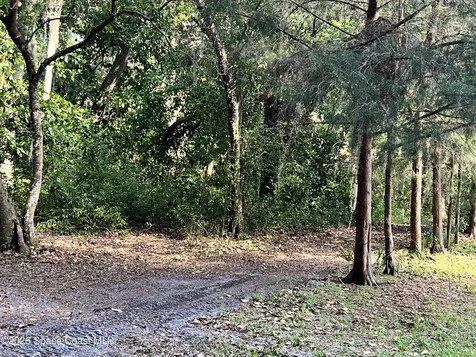 0 Carter Road Mims FL 32754
