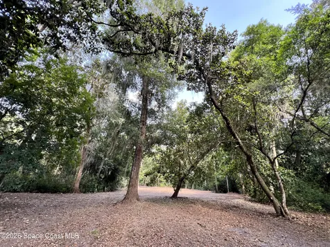 0 Carter Road Mims FL 32754