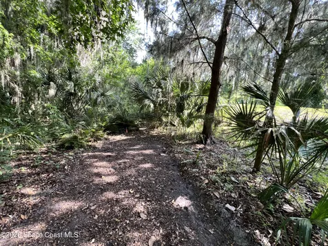 0 Carter Road Mims FL 32754