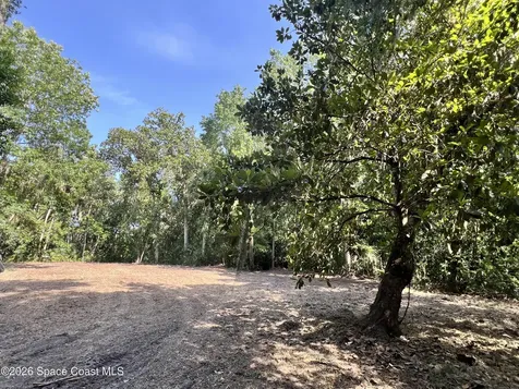 0 Carter Road Mims FL 32754