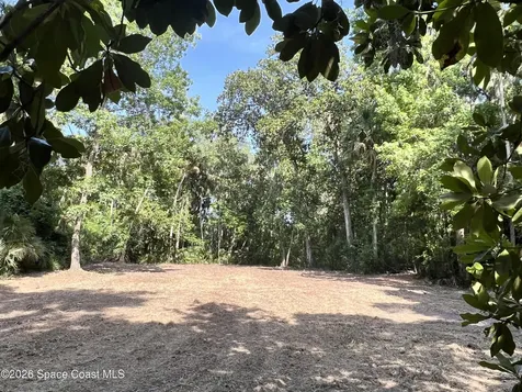 0 Carter Road Mims FL 32754