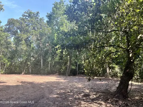 0 Carter Road Mims FL 32754