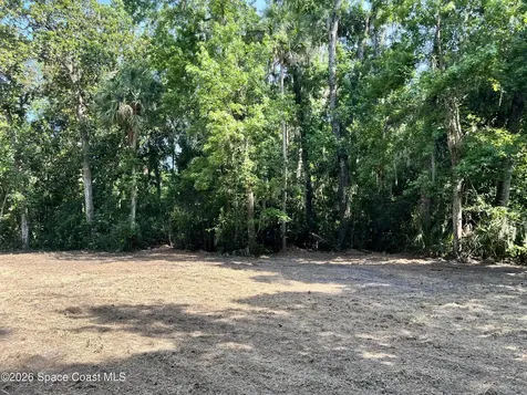 0 Carter Road Mims FL 32754
