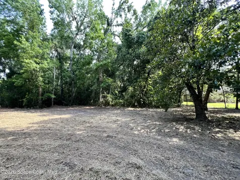0 Carter Road Mims FL 32754
