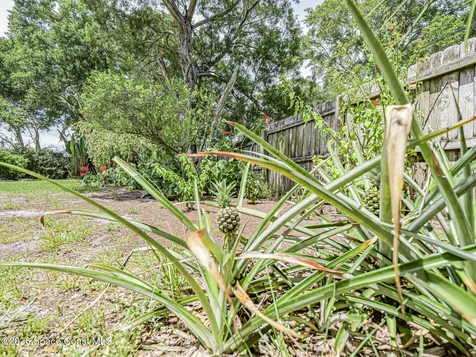 425 Banyan Street Sebastian FL 32958