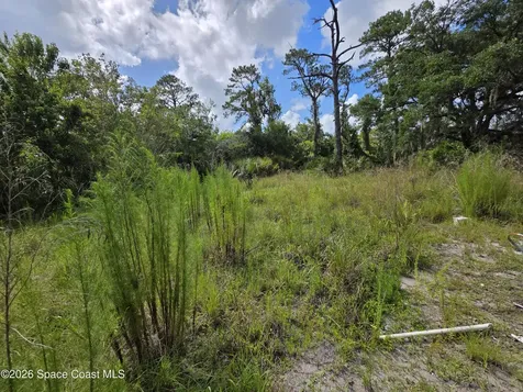 4863 Meadow Green Road Mims FL 32754