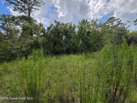 4863 Meadow Green Road Mims FL 32754