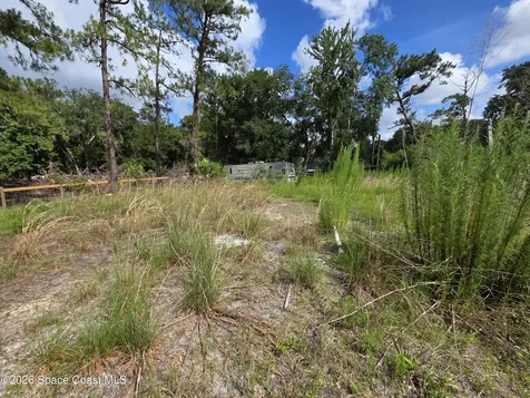 4863 Meadow Green Road Mims FL 32754