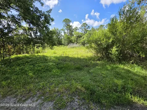 4863 Meadow Green Road Mims FL 32754