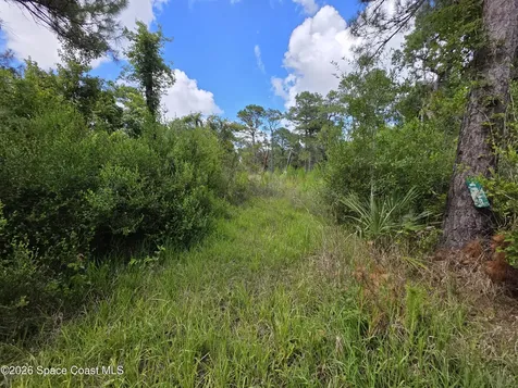 4863 Meadow Green Road Mims FL 32754
