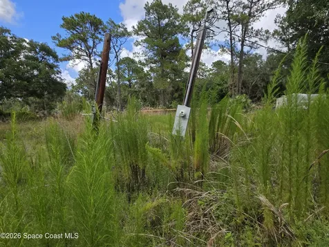 4863 Meadow Green Road Mims FL 32754