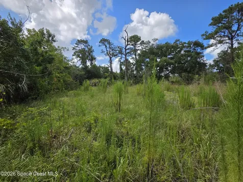 4863 Meadow Green Road Mims FL 32754