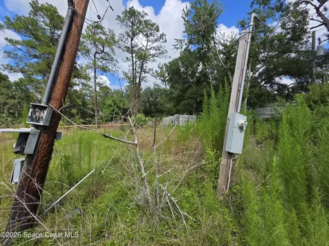 4863 Meadow Green Road Mims FL 32754