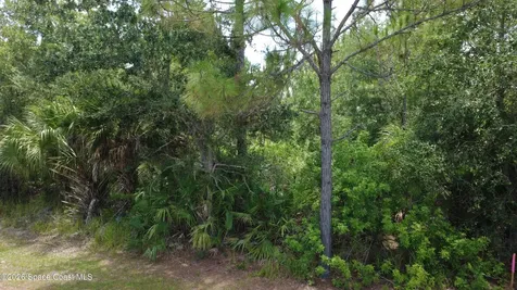 2926 Oakwood Avenue SE Palm Bay FL 32909