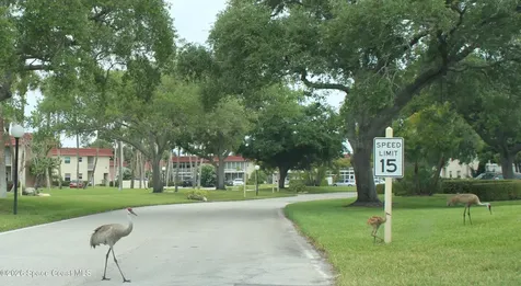 52 Woodland Drive Vero Beach FL 32962