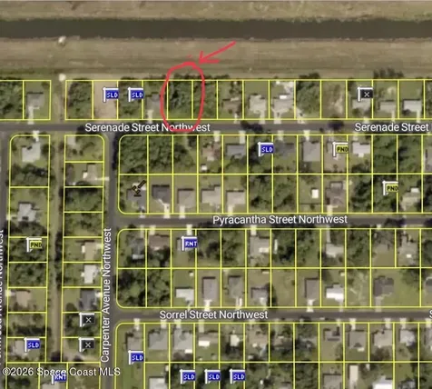 1025 Serenade Street NW Palm Bay FL 32907