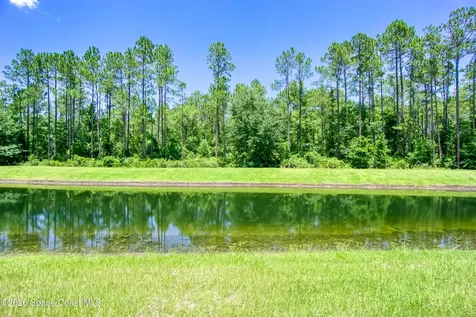 687 Servia Drive St. Johns FL 32259