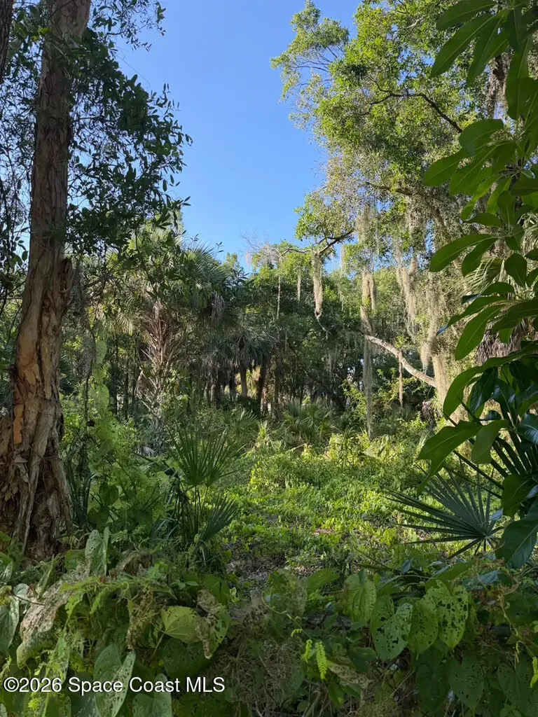 1838 Lemay Drive NE Palm Bay FL 32905