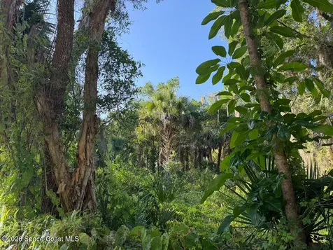 1838 Lemay Drive NE Palm Bay FL 32905