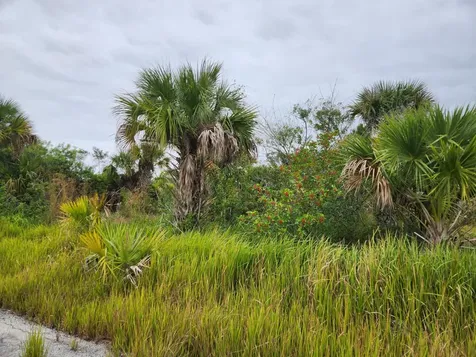 1069 Rouse Circle SW Palm Bay FL 32908