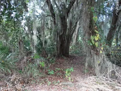 4585 Osprey Avenue Cocoa FL 32926