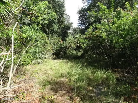 4585 Osprey Avenue Cocoa FL 32926