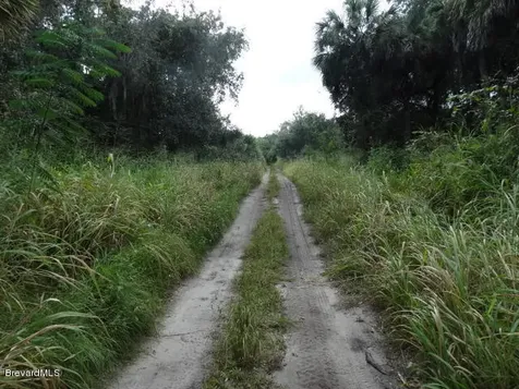 4585 Osprey Avenue Cocoa FL 32926