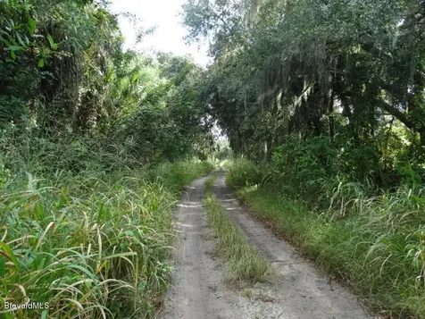4585 Osprey Avenue Cocoa FL 32926