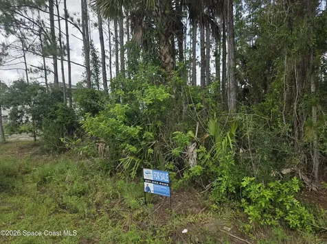 465 Tillman Avenue SW Palm Bay FL 32908