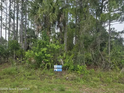 465 Tillman Avenue SW Palm Bay FL 32908