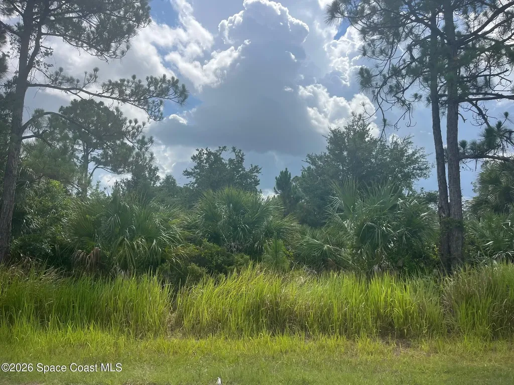 541 Windswept Avenue SW Palm Bay FL 32908