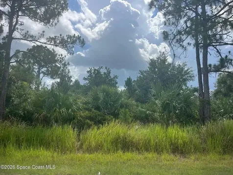 541 Windswept Avenue SW Palm Bay FL 32908