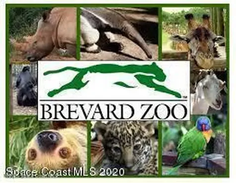 383 N Atlantic Avenue Cocoa Beach FL 32931