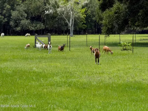 1140 Turnbull Grove Road Oak Hill FL 32759