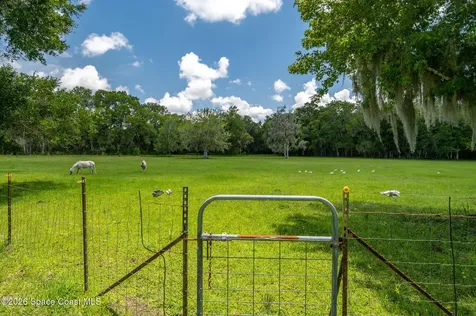 1140 Turnbull Grove Road Oak Hill FL 32759