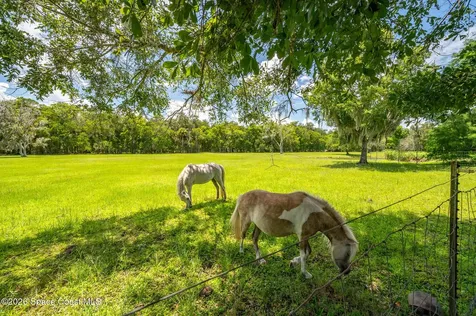 1140 Turnbull Grove Road Oak Hill FL 32759