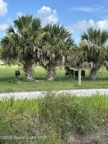 1475 Dalbora Road Merritt Island FL 32953