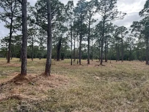 0000 Govan Avenue Malabar FL 32950
