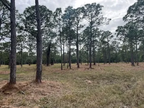 0000 Govan Avenue Malabar FL 32950