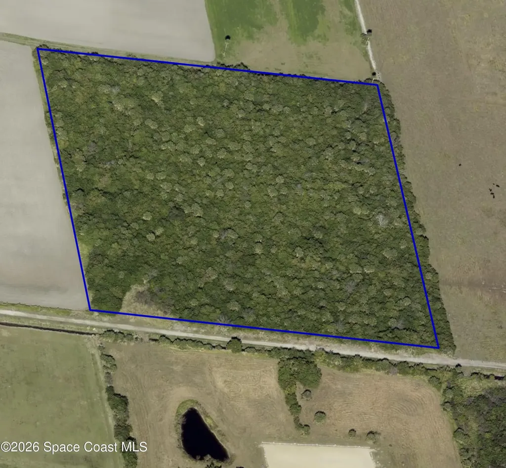 0 Orlando - 10 Acres Avenue Mims FL 32754
