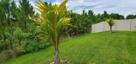 4227 Broomsedge Circle West Melbourne FL 32904