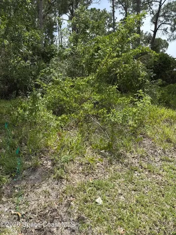 2086 SW Kimberly Avenue SW Port St. Lucie FL 34953