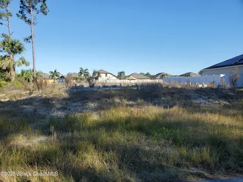 461 Paigo Street SE Palm Bay FL 32909