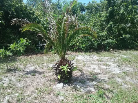 1609 Ridge Drive Cocoa FL 32926
