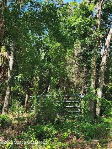 9581 Parker Drive Micco FL 32976